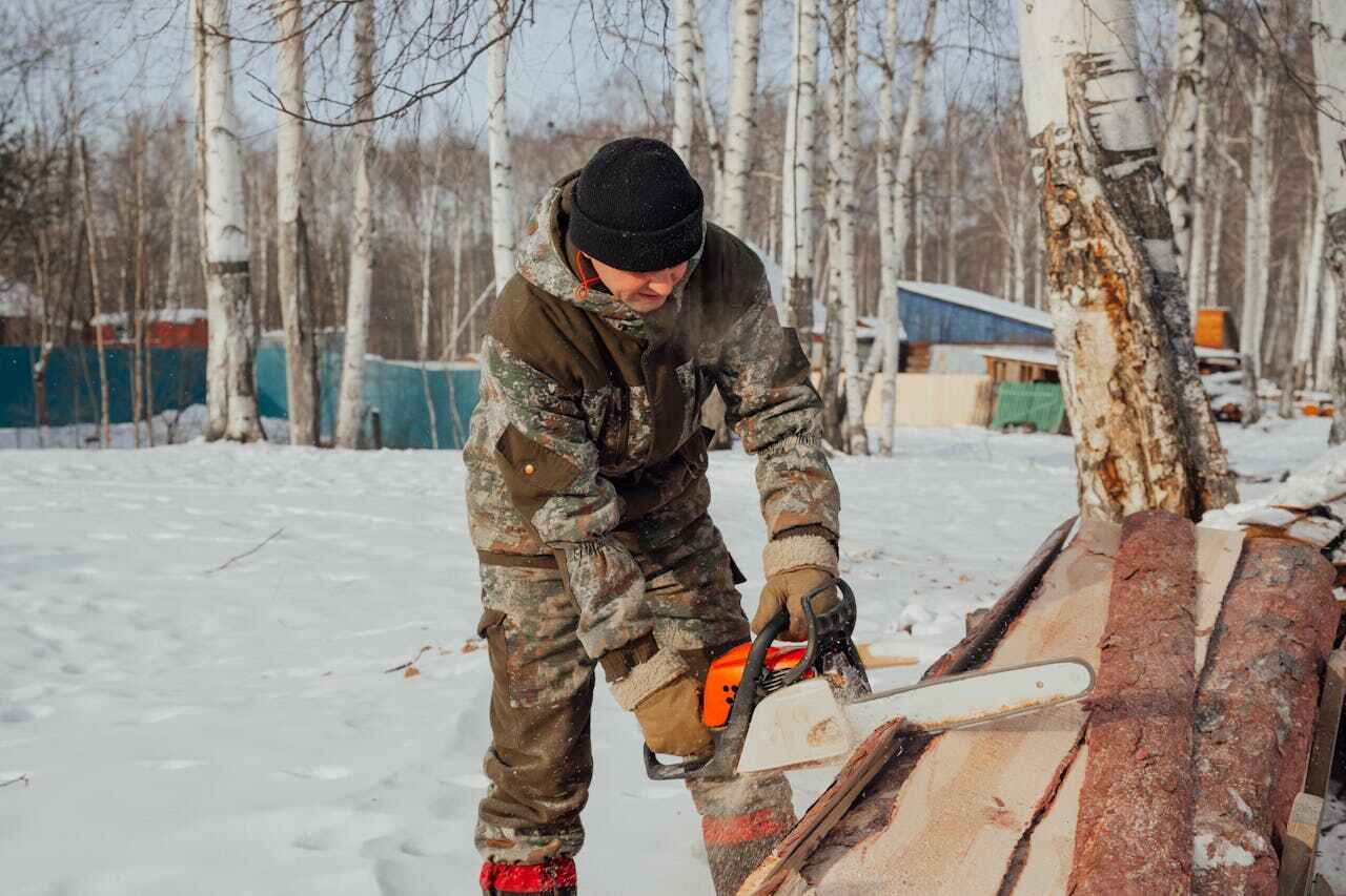 Large Tree Removal in Osage Beach, MO